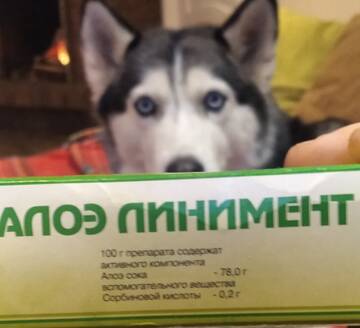 https://upforme.ru/uploads/001a/dd/52/149/t550029.jpg