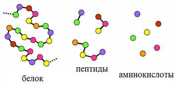https://upforme.ru/uploads/001a/dd/52/2/t128184.jpg