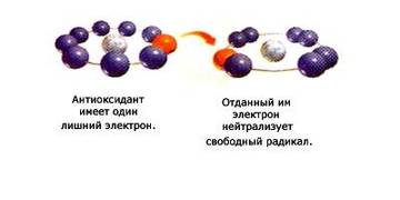 https://upforme.ru/uploads/001a/dd/52/2/t798633.jpg