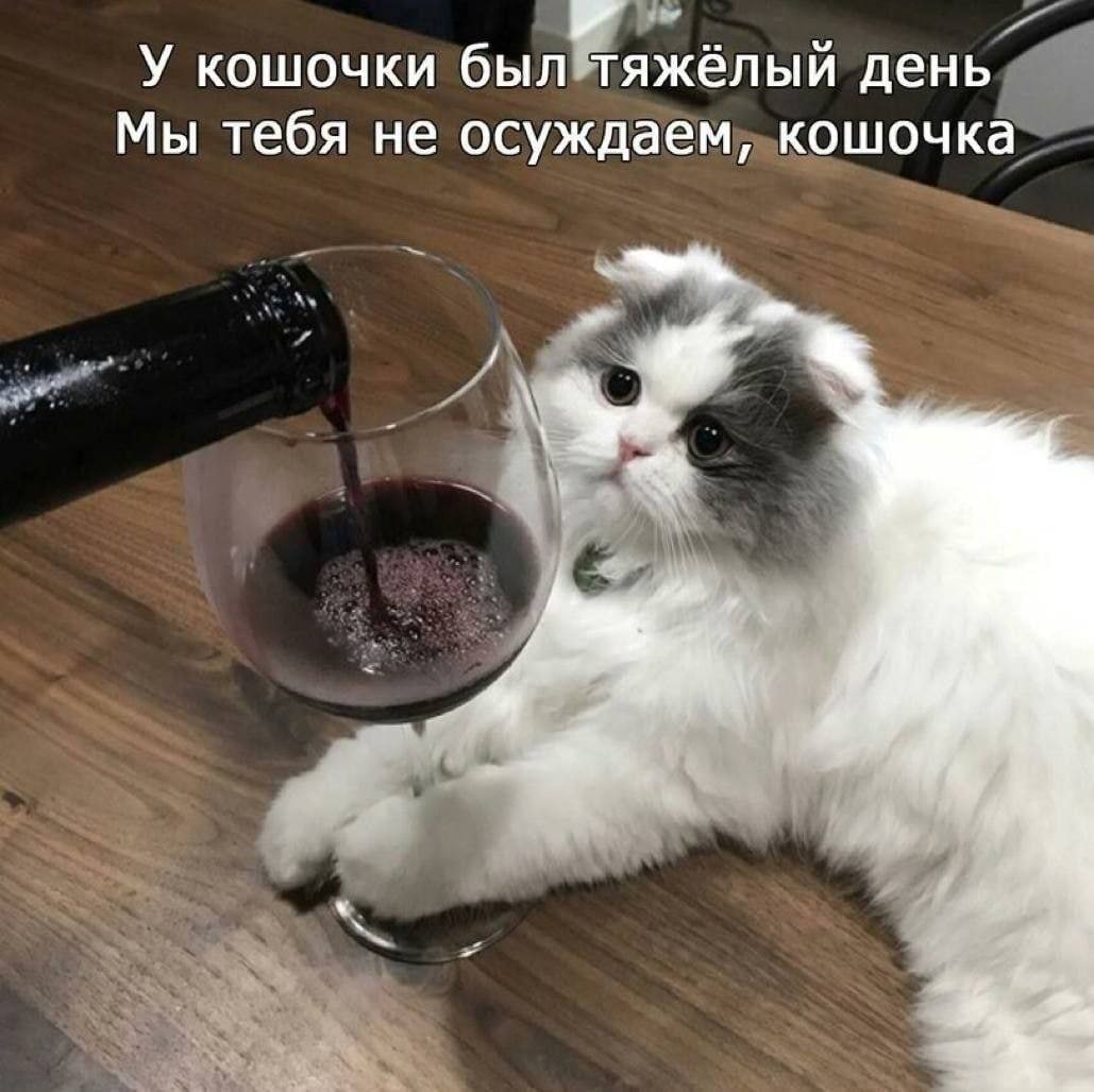 https://upforme.ru/uploads/001a/de/56/16/764725.jpg