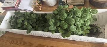 https://upforme.ru/uploads/001a/de/56/54/t650665.jpg