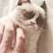 https://upforme.ru/uploads/001a/de/56/87/t616048.gif
