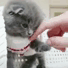 https://upforme.ru/uploads/001a/de/56/87/t815265.gif