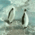 https://upforme.ru/uploads/001a/df/5e/5/653924.gif
