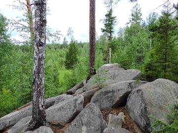 https://upforme.ru/uploads/001a/e0/02/75/t619768.jpg
