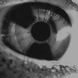 https://upforme.ru/uploads/001a/e0/d3/67/655927.gif