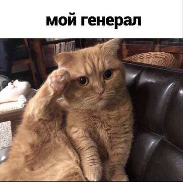 https://upforme.ru/uploads/001a/e1/66/142/t814456.jpg
