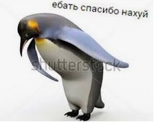 https://upforme.ru/uploads/001a/e1/66/57/101585.jpg