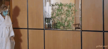 https://upforme.ru/uploads/001a/e1/66/79/t180492.gif