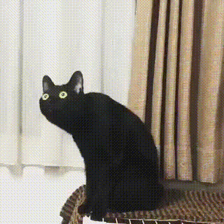 https://upforme.ru/uploads/001a/e1/66/79/t902813.gif