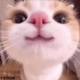 https://upforme.ru/uploads/001a/e1/ae/3/329170.gif