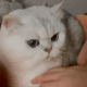 https://upforme.ru/uploads/001a/e1/ae/3/421329.gif