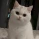 https://upforme.ru/uploads/001a/e1/ae/3/62313.gif