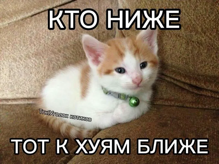 https://upforme.ru/uploads/001a/e1/ae/3/851064.webp