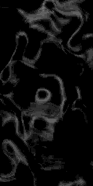 https://upforme.ru/uploads/001a/e1/ae/3/910528.gif