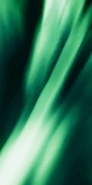 https://upforme.ru/uploads/001a/e1/ae/3/920686.gif