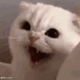 https://upforme.ru/uploads/001a/e1/ae/3/999872.gif