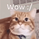 https://upforme.ru/uploads/001a/e1/ae/5/10895.gif