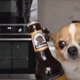 https://upforme.ru/uploads/001a/e1/ae/5/113320.gif