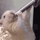 https://upforme.ru/uploads/001a/e1/ae/5/134220.gif
