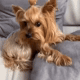 https://upforme.ru/uploads/001a/e1/ae/5/134402.gif