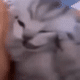 https://upforme.ru/uploads/001a/e1/ae/5/169449.gif