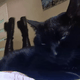 https://upforme.ru/uploads/001a/e1/ae/5/184904.gif
