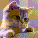 https://upforme.ru/uploads/001a/e1/ae/5/241170.gif