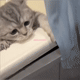 https://upforme.ru/uploads/001a/e1/ae/5/39344.gif