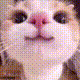 https://upforme.ru/uploads/001a/e1/ae/5/405562.gif