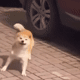 https://upforme.ru/uploads/001a/e1/ae/5/423200.gif