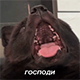https://upforme.ru/uploads/001a/e1/ae/5/507539.jpg
