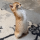https://upforme.ru/uploads/001a/e1/ae/5/557931.gif