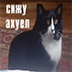 https://upforme.ru/uploads/001a/e1/ae/5/604248.png
