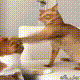 https://upforme.ru/uploads/001a/e1/ae/5/695277.gif