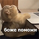 https://upforme.ru/uploads/001a/e1/ae/5/785640.jpg
