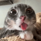 https://upforme.ru/uploads/001a/e1/ae/5/79109.gif