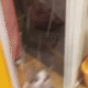 https://upforme.ru/uploads/001a/e1/ae/5/826877.gif