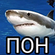 https://upforme.ru/uploads/001a/e1/ae/5/853767.png