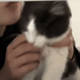 https://upforme.ru/uploads/001a/e1/ae/5/938689.gif
