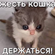 https://upforme.ru/uploads/001a/e1/ae/5/940712.jpg