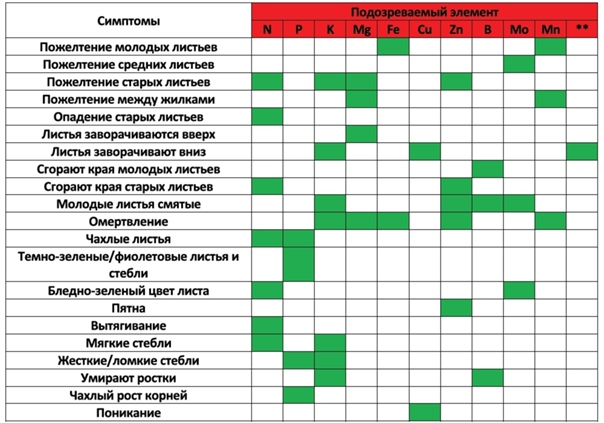 https://upforme.ru/uploads/001a/e1/f2/11/953485.jpg