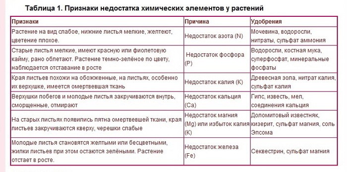 https://upforme.ru/uploads/001a/e1/f2/2/901113.jpg