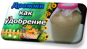 https://upforme.ru/uploads/001a/e1/f2/2/t548420.png