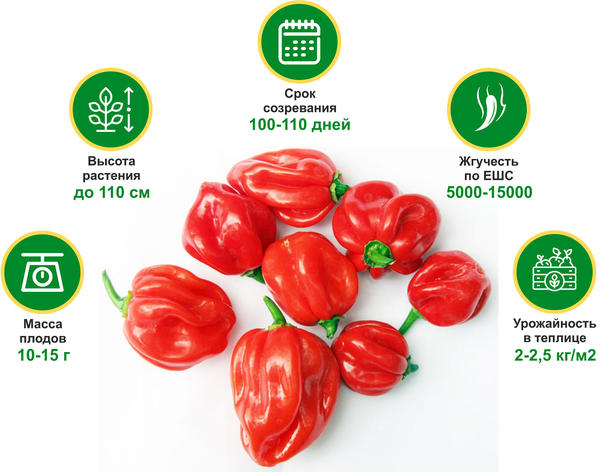 https://upforme.ru/uploads/001a/e1/f2/8/75327.jpg