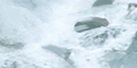 https://upforme.ru/uploads/001a/e4/7b/254/501466.png
