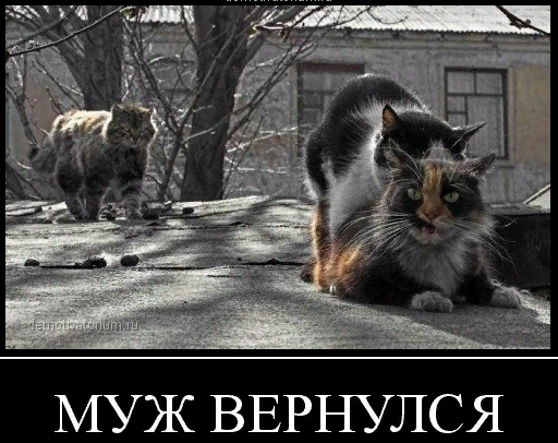 https://upforme.ru/uploads/001a/e4/b8/195/t821151.png