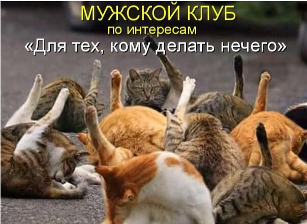 https://upforme.ru/uploads/001a/e4/b8/284/273738.png