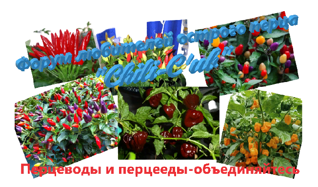 https://upforme.ru/uploads/001a/e4/b8/7/21013.png
