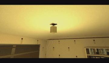 https://upforme.ru/uploads/001a/e5/49/6/t775174.gif